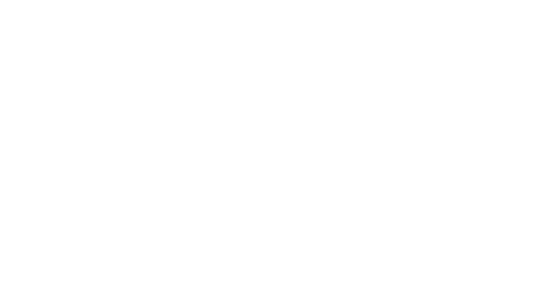 light logo